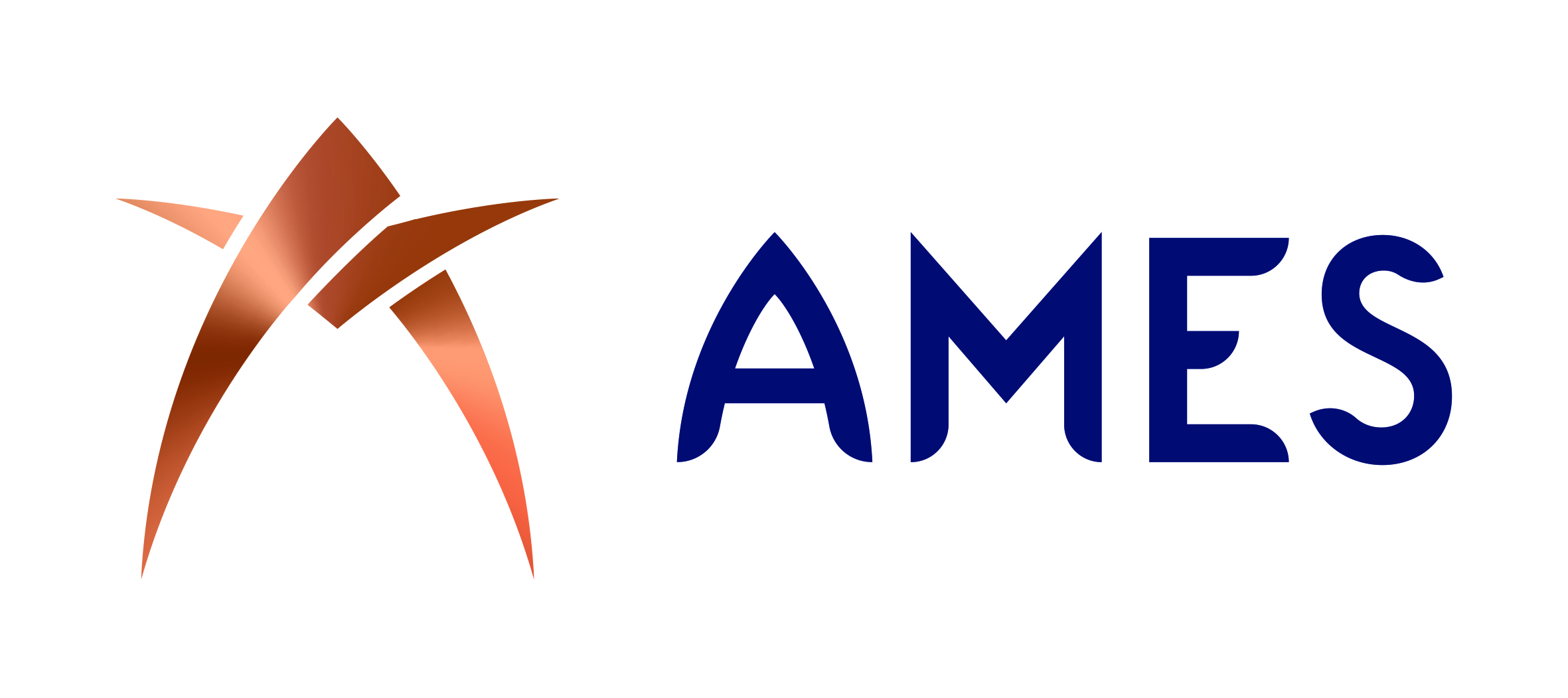 AMES (Aircraft Maintenance Engineering Services)